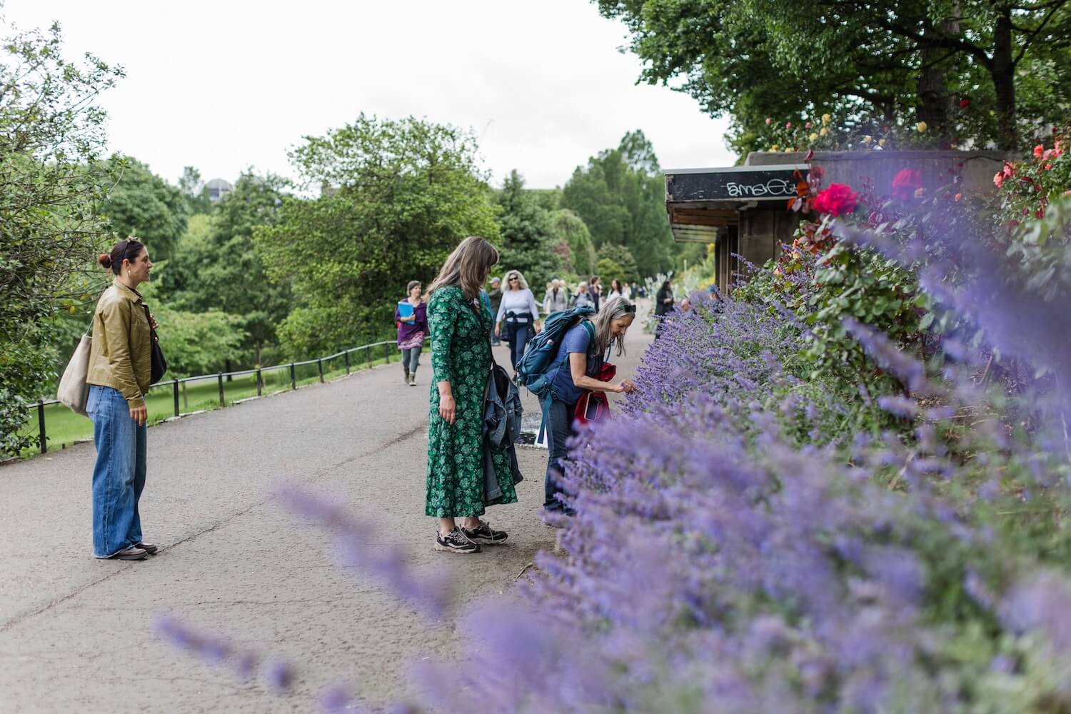 Tour guests pausing to smell purple flowers during a women-led nature walking tour in Edinburgh.